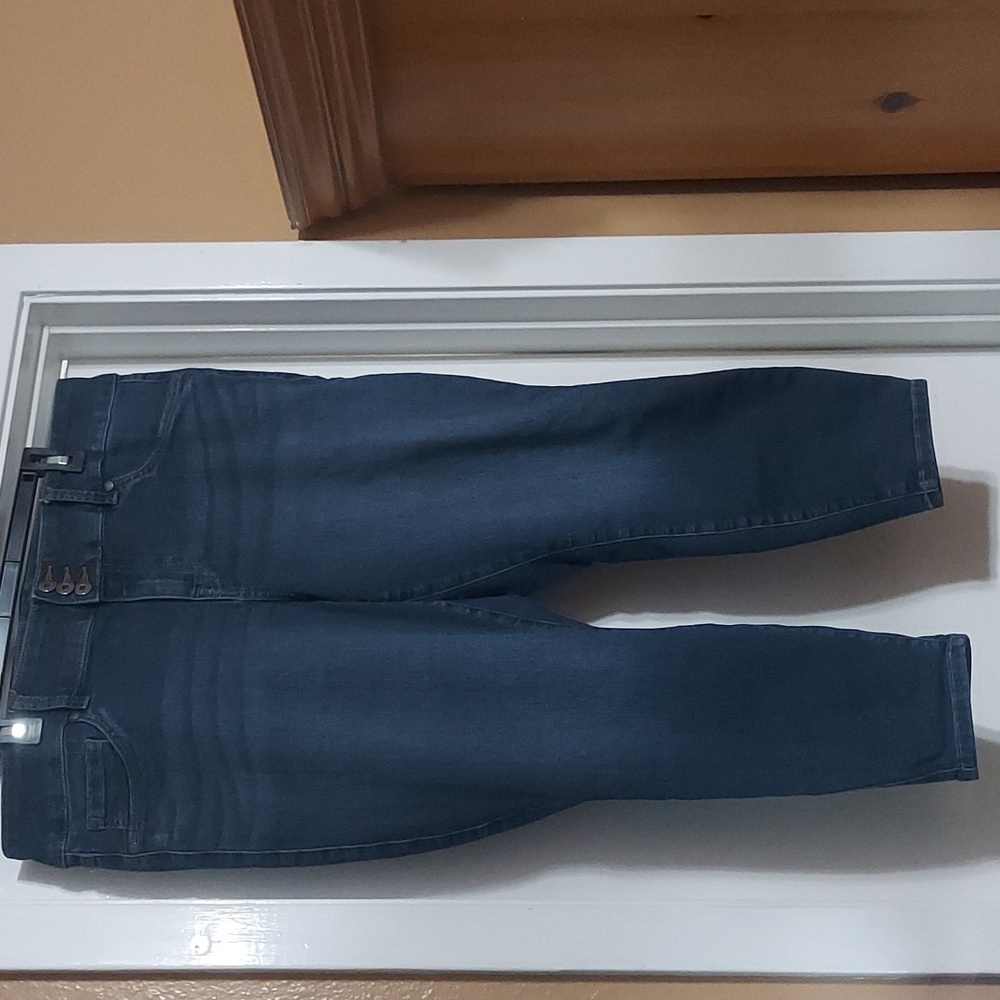 Torrid Denim Jegging Sz 20xs
